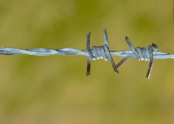 Penggunaan Dinding Penjara Genggam Ganda Dilapisi PVC / Galvanized Barbed Wire Coils