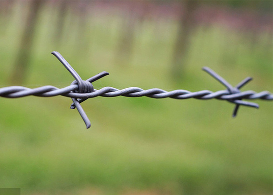 Penggunaan Dinding Penjara 50kg Double Strand Reverse Twist Electro Barbed Wire Roll