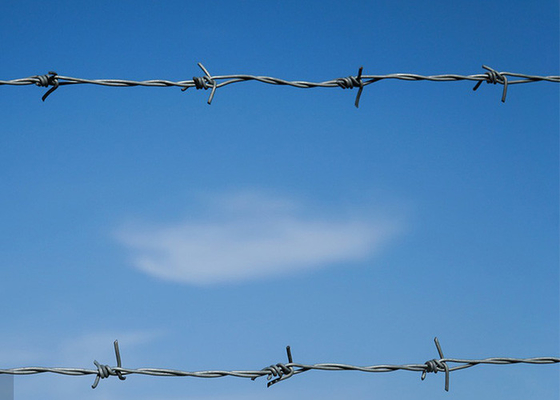 Penggunaan dinding penjara PVC Lapisan / Galvanized Barbed Wire Coils pagar