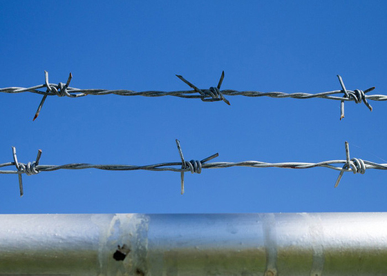 Penggunaan Dinding Penjara Single Strand Hot Dip Galvanized Steel Barbed Wire