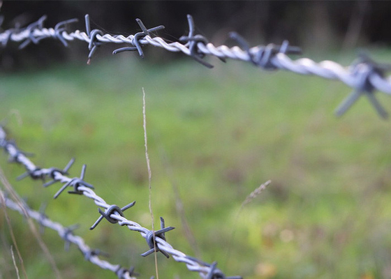 Penggunaan Dinding Penjara Double Strand Reverse Twist Stainless Steel Barbed Wire
