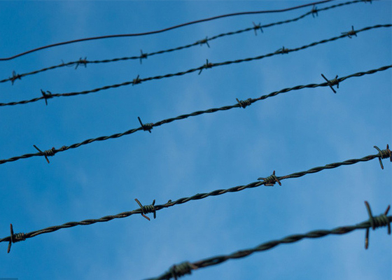 Penggunaan Dinding Penjara 50kg Double Strand Tradisional Twist Barbed Wire Roll