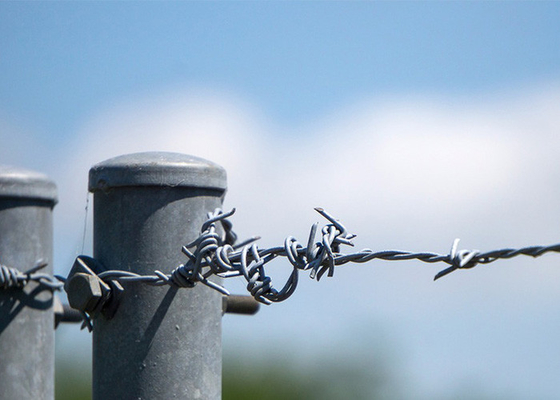Penggunaan Tembok Penjara Panjang 200m Single Strand Hot Dip Galvanized Barbed Wire