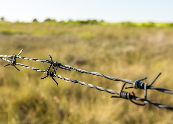 Penggunaan Dinding Penjara 12,5 Gauge Double Twisted Galvanized Barbed Wire