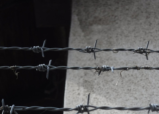 Kebun Anti Pencurian Double Strand Tradisional Twist Barbed Wire Pagar