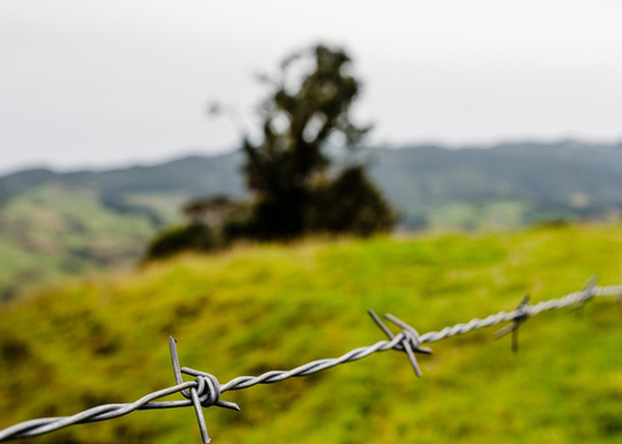 Taman Anti Pencurian Single Strand Hot Dip Galvanized Barbed Wire Harga Per Roll