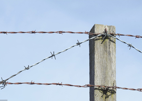 Kebun Anti Pencurian Single Strand Galvanized Steel Barbed Wire Pagar