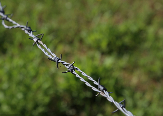 Taman Anti Pencurian Double Strand Reverse Twist Hot Dip Galvanized Barbed Wire Roll