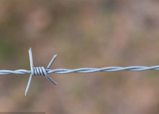 Taman Anti Pencurian Double Strand Tradisional Twist Electro Barbed Wire Coils