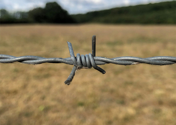 Taman Anti Pencurian Ganda Twisted Hot Dip Galvanized Barbed Wire Coils