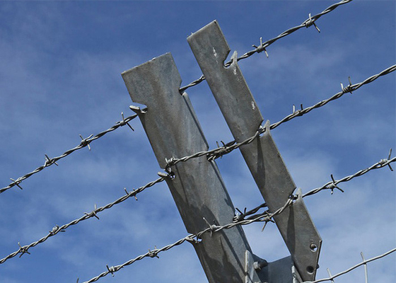 Taman Anti Pencurian Anti Menekuk Double Strand Reverse Twist Barbed Wire
