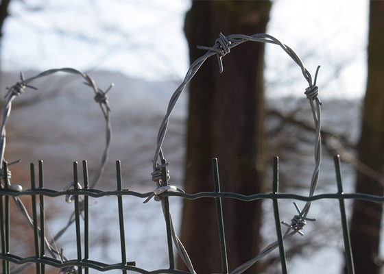 Taman Anti Pencurian Anti Menekuk Hot dip Galvanized Barbed Wire Roll