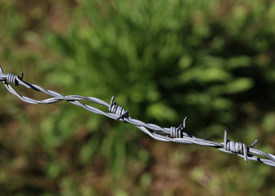 Taman Anti Pencurian Twist 3 atau 4 inci Barb Jarak Hot Dip Galvanized Barbed Wire