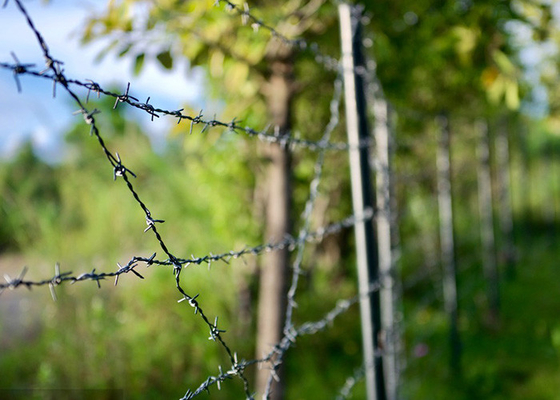 Taman Anti-Pencurian Double Twisted PVC Coated / Galvanized Barbed Wire Coils
