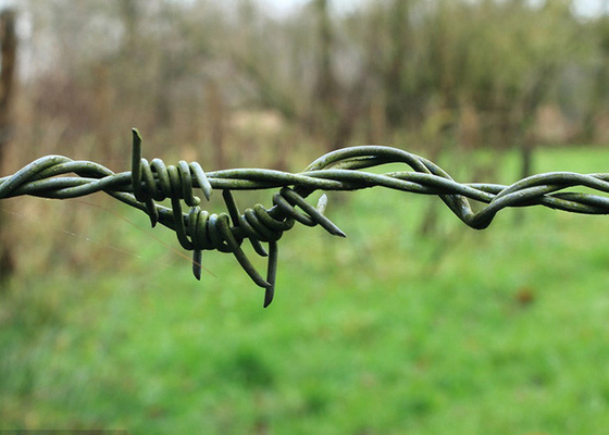 Taman Anti Pencurian 50kg Double Strand Reverse Twist Elektro Barbed Wire Roll