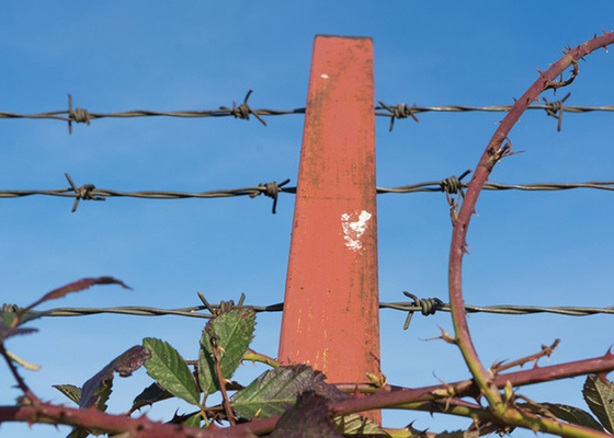 Hot-dipped Galvanized Security Barbed Wire Kawat berdiameter tinggi untuk perbatasan yang aman