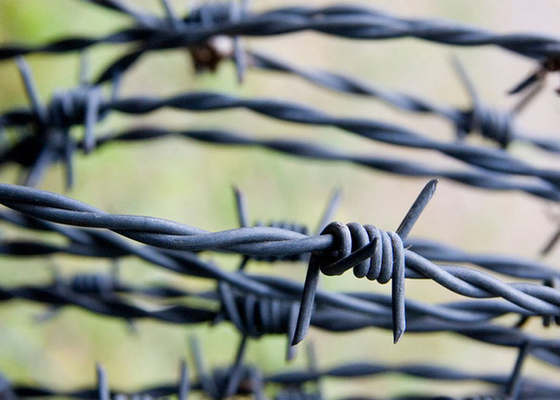 Hot-dipped Galvanized Security Barbed Wire Kawat berdiameter tinggi untuk perbatasan yang aman