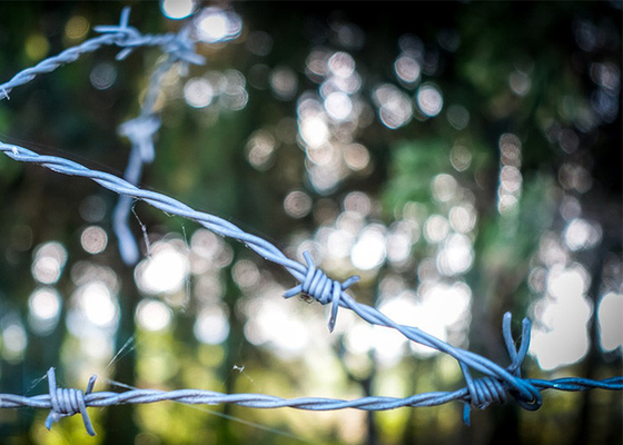 Taman Anti Pencurian Double Strand Tradisional Twist Galvanized Barbed Wire Coils