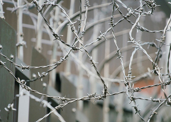 Kebun Anti Pencurian PVC Lapisan / Galvanized Barbed Wire Coils Pagar