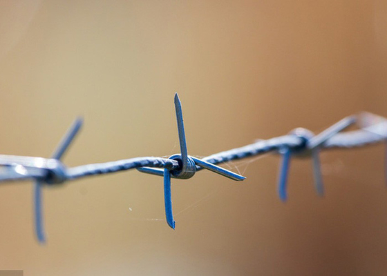 Taman Anti Pencurian 50kg Double Strand Tradisional Twist Barbed Wire Roll