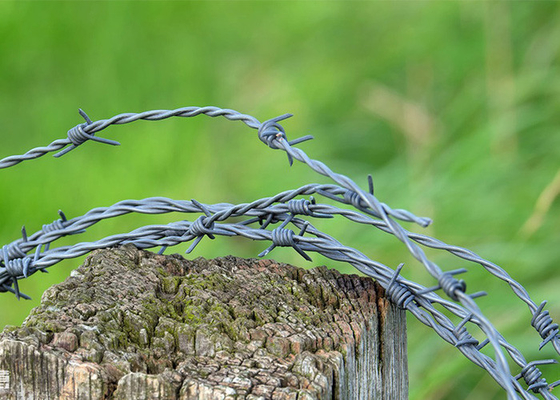Taman Anti Pencurian Panjang 200m Single Strand Hot Dip Galvanized Barbed Wire