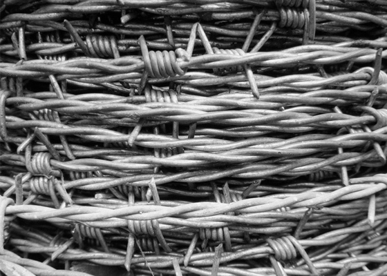 Taman Anti Pencurian 12,5 Gauge Double Twisted Galvanized Barbed Wire