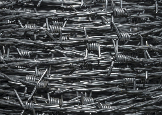 Perlindungan Peternakan Double Strand Tradisional Twist Barbed Wire Pagar