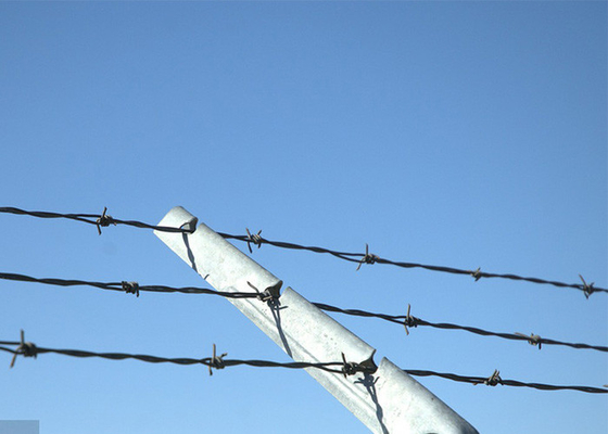 Perlindungan Peternakan Single Strand Galvanized Baja Barbed Wire Pagar Konstruksi Perlindungan