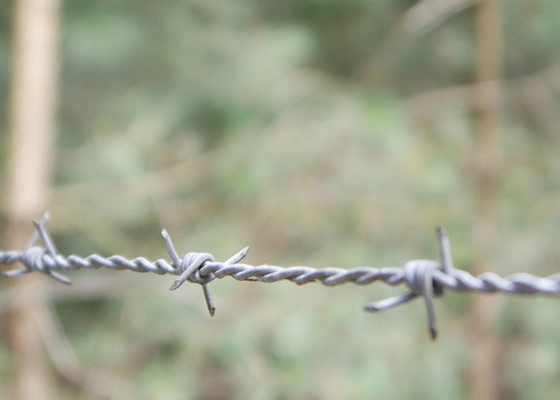 Perlindungan Pertanian Double Strand Reverse Twist Hot Dip Galvanized Barbed Wire Roll