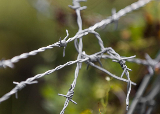 Perlindungan Peternakan Ganda Strand Tradisional Twist Elektro Barbed Wire Coils