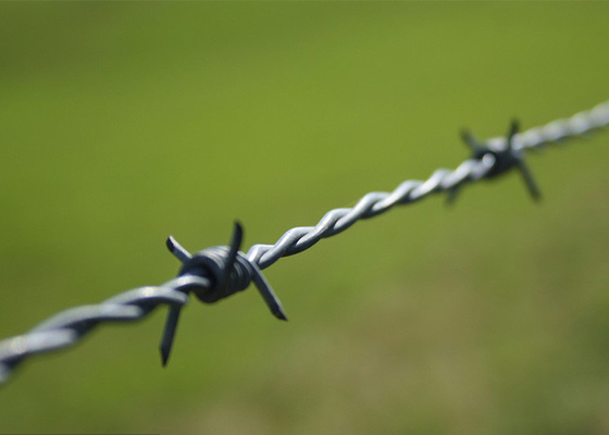 Perlindungan Peternakan Anti Climb Double Strand Reverse Twist Barbed Wire