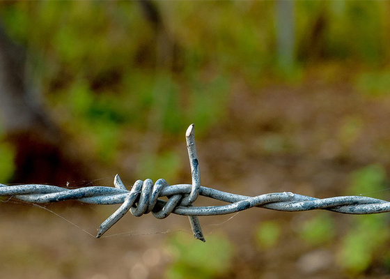 Perlindungan Peternakan Anti Menekuk Hot Dip Galvanized Barbed Wire Roll