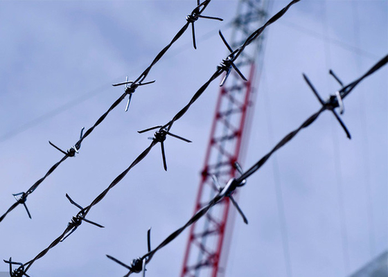 Perlindungan Konstruksi PVC Lapisan/Electro Barbed Wire Coils