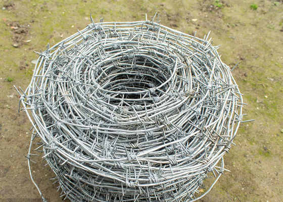 Perlindungan Peternakan Single Strand Hot Dip Galvanized Steel Barbed Wire
