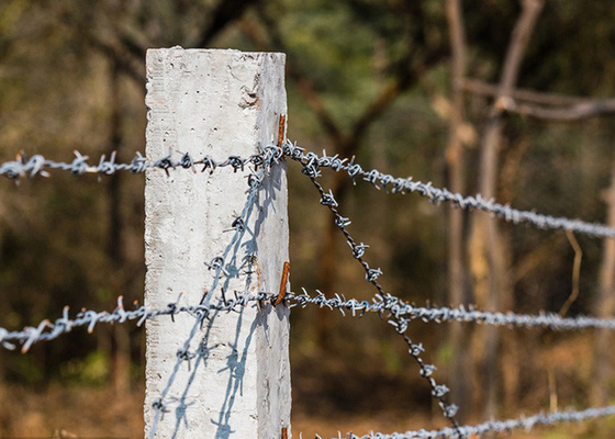 Perlindungan Pertanian 12,5 Gauge Double Twisted Galvanized Barbed Wire