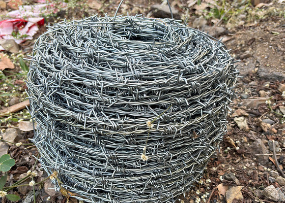 Perlindungan Pertanian Double Strand Reverse Twist Stainless Steel Barbed Wire