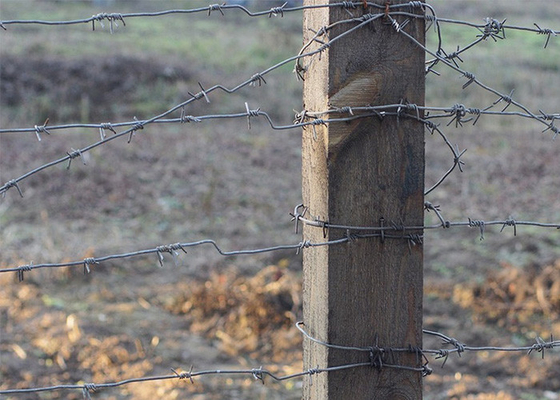 Perlindungan Peternakan 50kg Double Strand Tradisional Twist Barbed Wire Roll