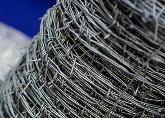 500 Meter Double Strand Reverse Twist Elektro Barbed Wire Coils