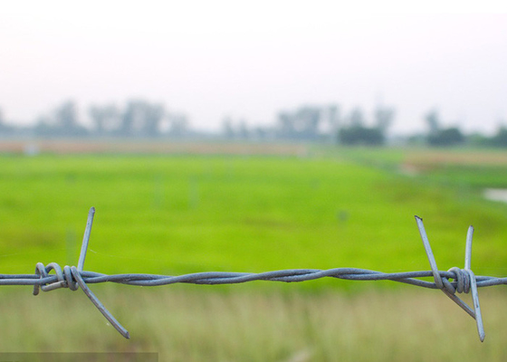 500 Meter Double Twisted PVC Coated Steel Barbed Wire Harga Per Roll
