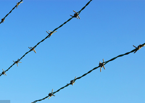 Perlindungan Pembangunan Pagar 3 atau 4 inci Barb Jarak Elektro Barbed Wire