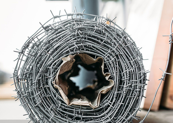 Perlindungan Konstruksi Pagar Double Strand Tradisional Twist Barbed Wire Coils