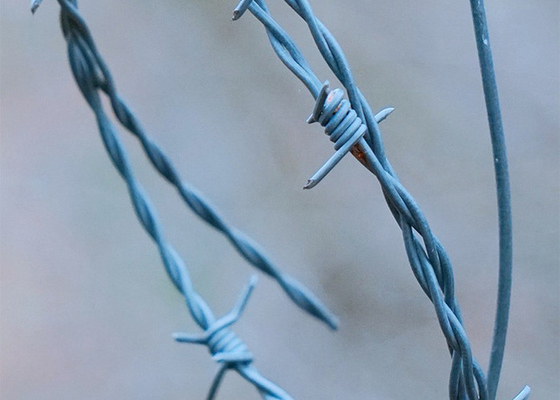 Tahan karat 3 atau 4 inci Barb Jarak Single Strand PVC dilapisi Iron Barbed Wire
