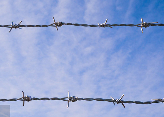 Ketahanan karat Ganda untaian kebalikan memutar Hot Dip Galvanized Barbed Wire Roll