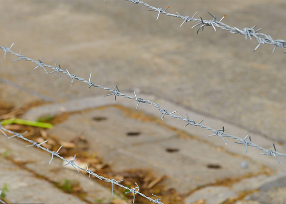 Ketahanan Karat Ganda Melengkung Hot Dip Galvanized Barbed Wire Coils