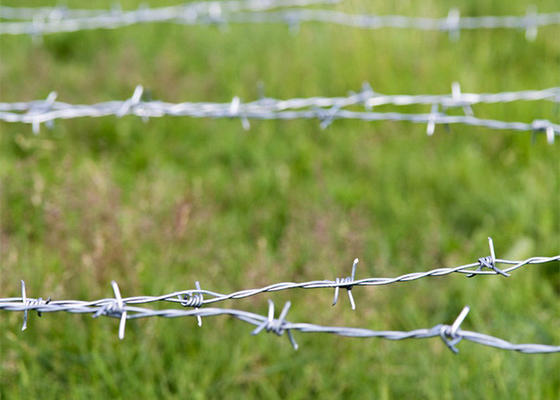 Tahan karat 3 atau 4 inci Barb Jarak Double Strand Reverse Twist Barbed Wire