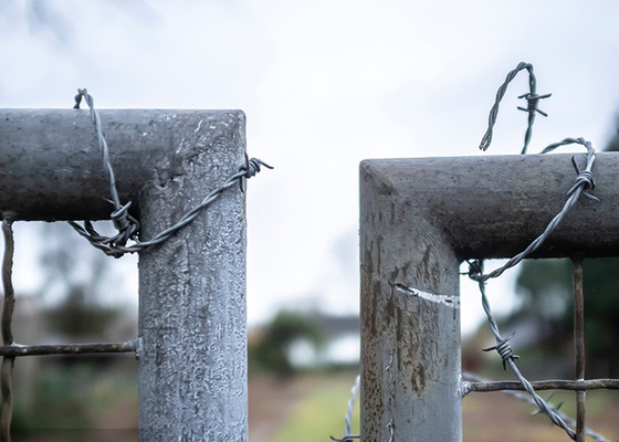 Tahan karat Twist 3 atau 4 inci Barb Jarak Hot Dip Galvanized Barbed Wire