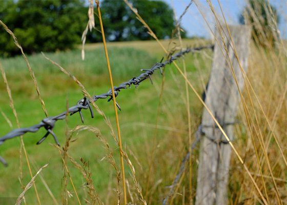 Tahan karat Double Strand Tradisional Twist Barbed Wire Pagar