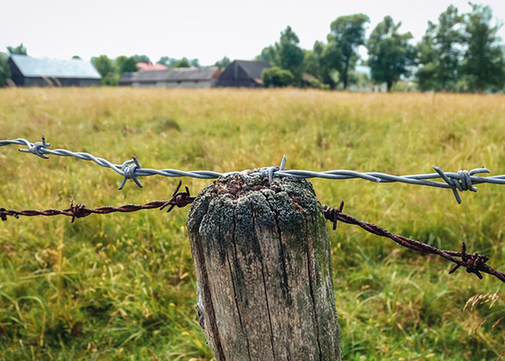 Tahan karat 3 atau 4 inci Barb Jarak Galvanized Barbed Wire Roll