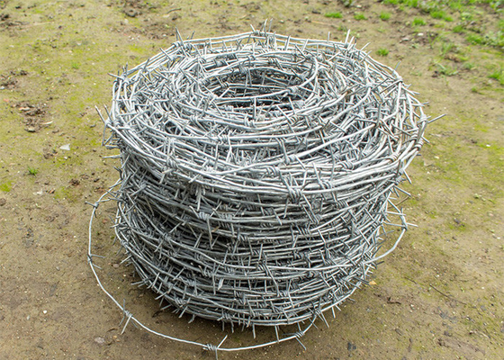 Ketahanan karat single strand Hot Dip Galvanized Steel Barbed Wire