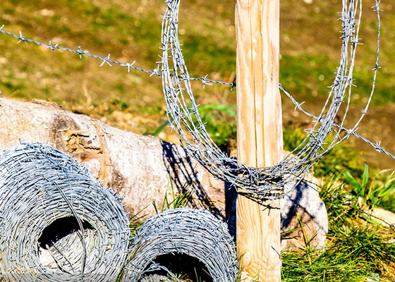 Double strand twist tradisional Hot Dip Galvanized Barbed Wire